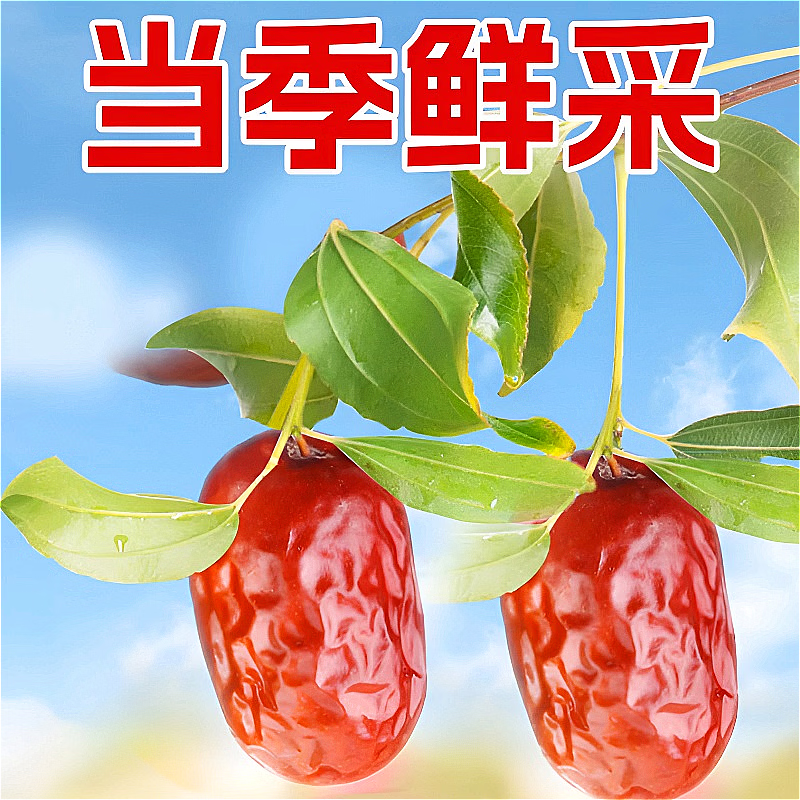 党鲜红枣 新疆和田大枣干袋装新枣子煮粥泡水喝专用即食 新疆和田肉枣【肉厚核小】 【净重】1000克