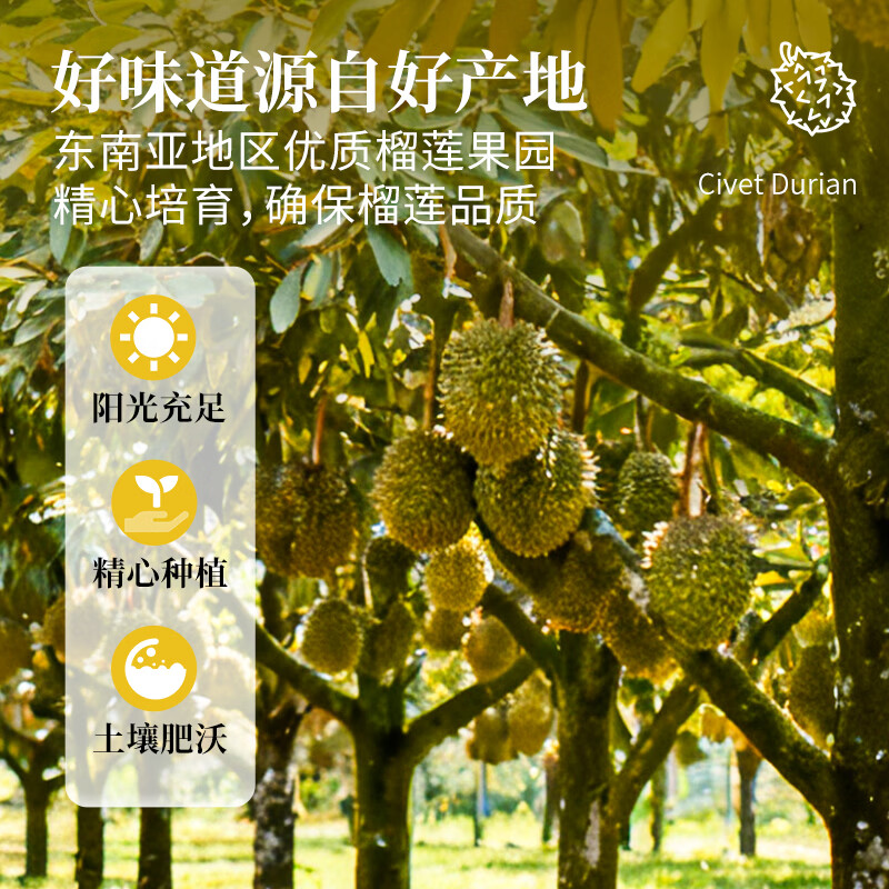 正典榴莲冷冻榴莲肉 树熟新鲜 液氮冷冻锁鲜 进口水果 精选品质大果 冷冻榴莲280g*4