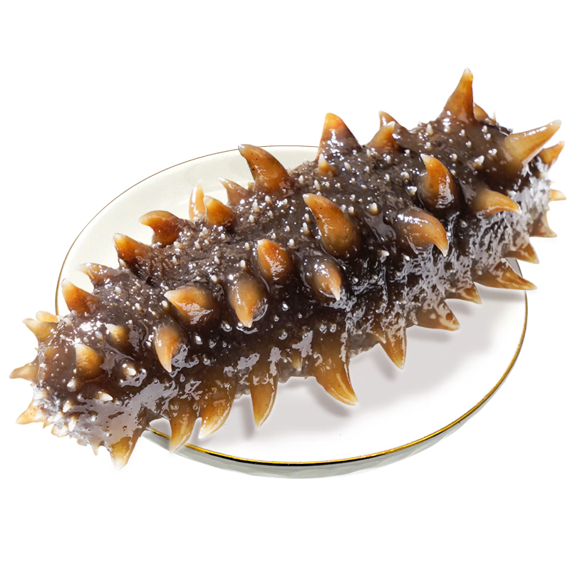 ������ ������ʳ���� 1�� 7-10ֻ   198Ԫ