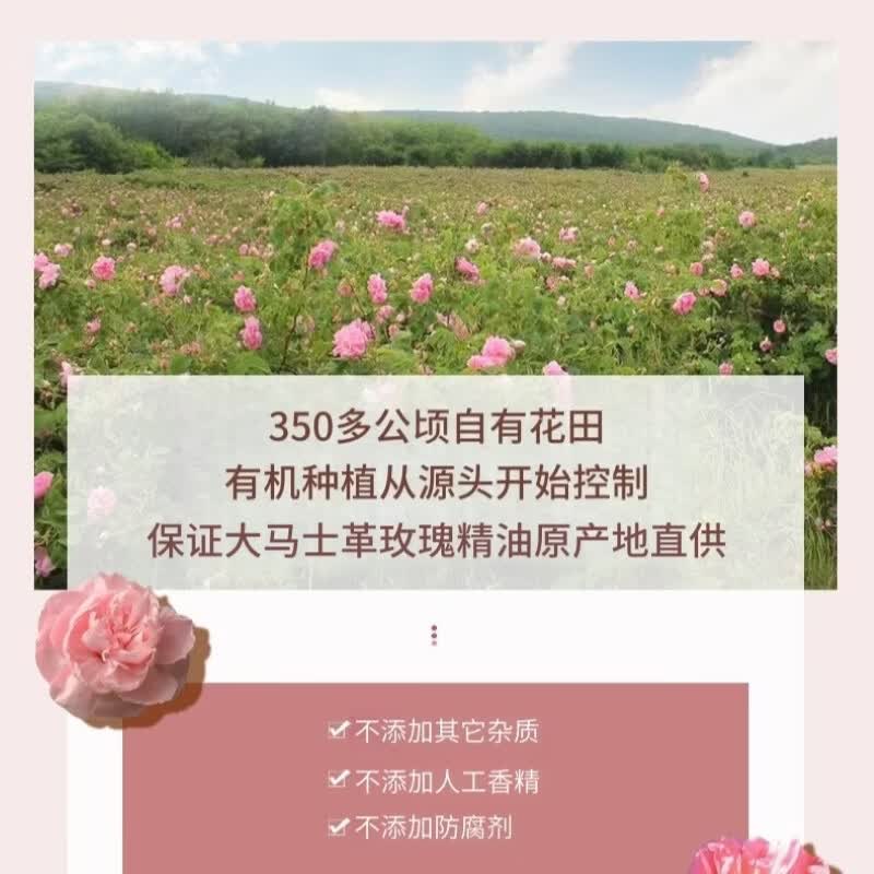 芳香世家面部护肤精华油 润养熟龄肌脆弱肌熬夜肌复方精油新年礼物 【焕亮熟龄肌】保加利亚玫瑰凝时透靓精油10ml