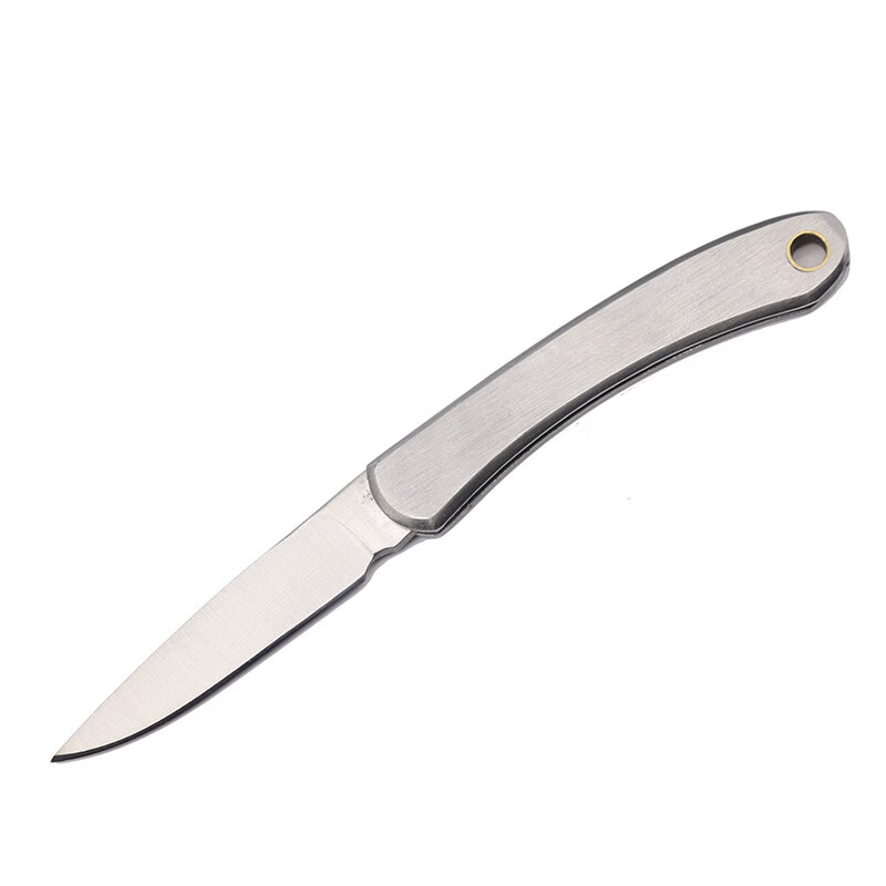 不锈钢折叠水果刀便捷随身旅行钥匙刀迷你小刀瓜 中号  刃长4.5cm (飞机高铁 可携带) 60°以下 x 3cm x 5cm