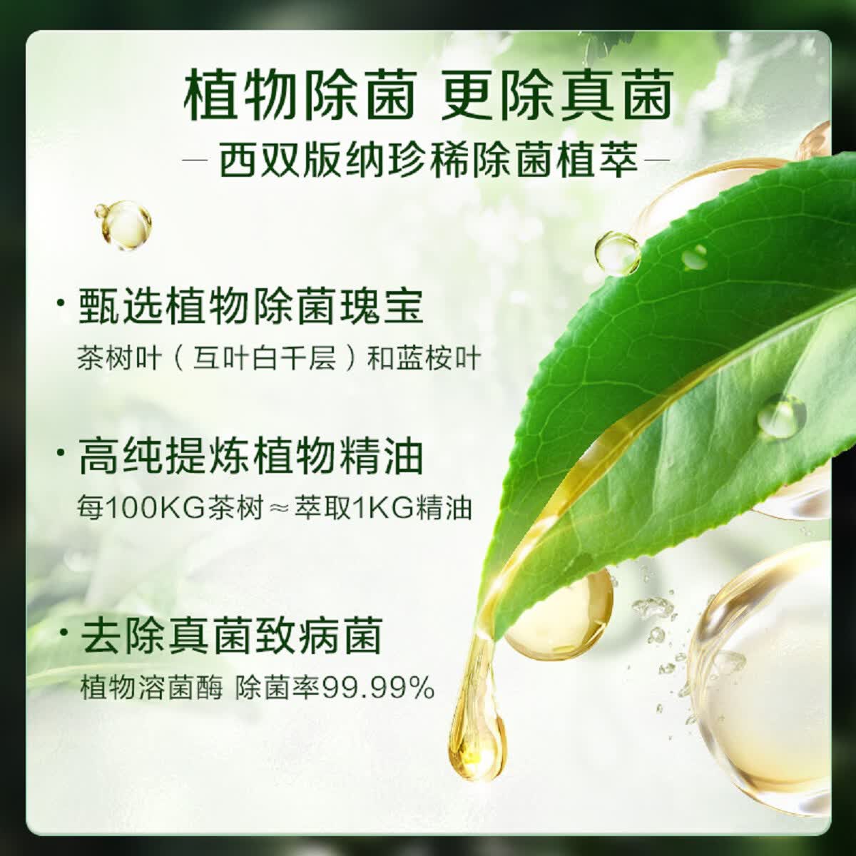 立白卫仕天然植物除菌洗衣液家用香氛持久留香除真菌除螨 【除菌首选】丨卫仕除菌液12斤囤货装