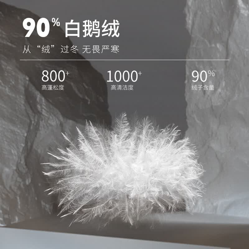 君羽反季羽绒服男800高蓬松度鹅绒冬季连帽短款加厚鹅绒服外套 深灰色 3XL (推荐186-200斤)