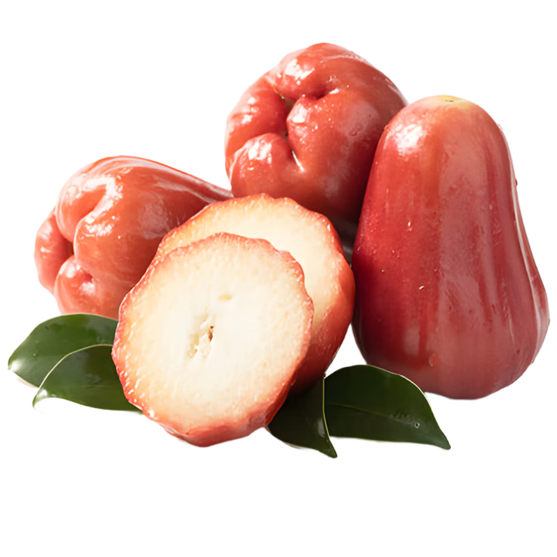 ���ڲ��������ϲ���ֱ���ڽ���������ʴ��ʱ��ˮ����ˮ�������� ���100g+����5��22-26��