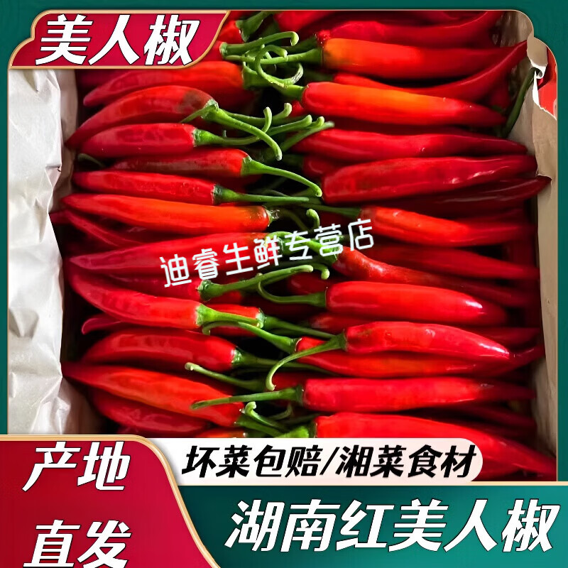 桃西村湖南美人椒新鮮辣椒紅尖椒剁辣椒辣椒醬專用本地家庭農(nóng)家菜 2斤 中辣 ?；t