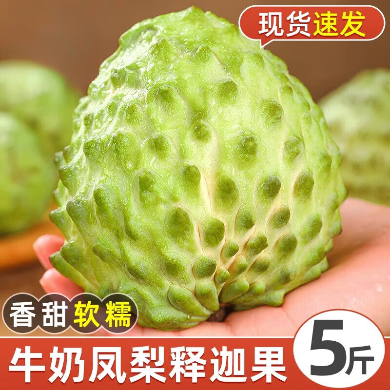 壹萌果蔬广西牛奶凤梨释迦果新鲜番荔枝佛头果新鲜软糯应当季水果送礼 3斤精选果【单果100g+】净2.5斤