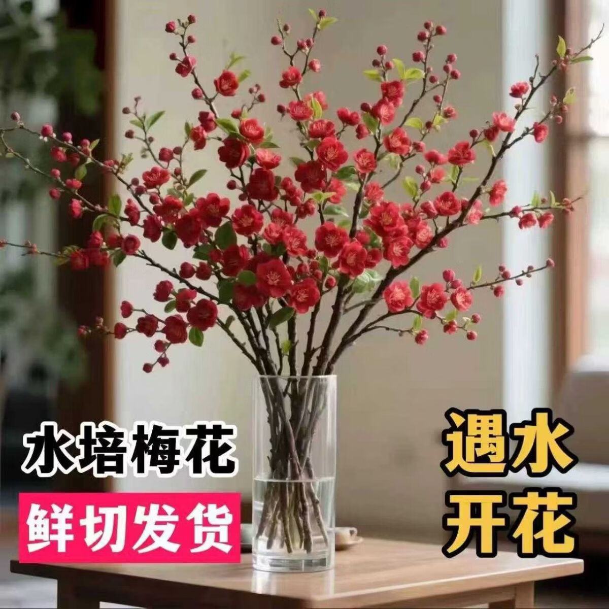 小红书同款遇水开花水培梅花AA 50-70厘米橙色 三周期开花10支（接受图与实物有色差拍）