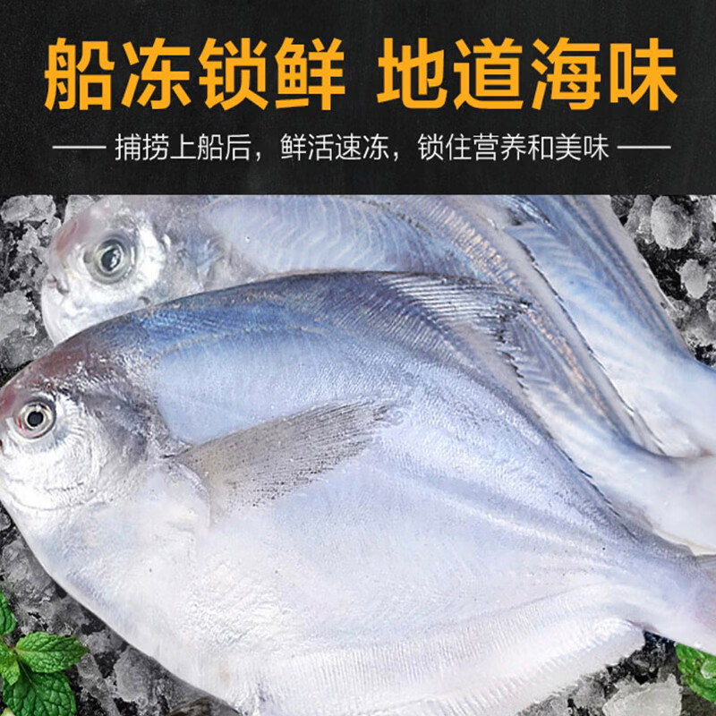 鑫弘洋水产科技（XINHONGYANG）【辽宁特产】葫芦岛海鲜三拼礼盒青花鱼片南美白虾银鲳鱼海鲜年货 青花鱼450g+青虾10条220g+银鲳鱼4条250g/盒