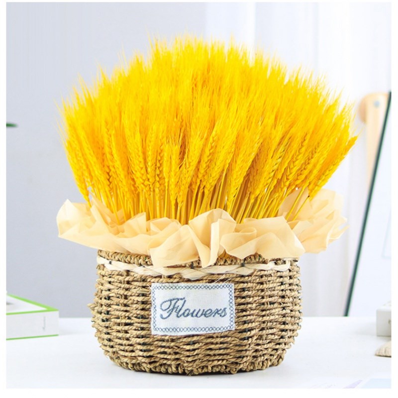 创京懿选黄金麦穗 黄金麦穗摆件 麦穗干花黄金大麦花篮插花花篮开业
