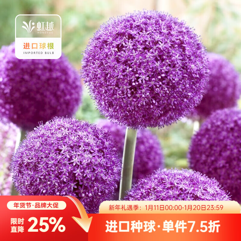 ��Խ��HONGYUE�����ڴ󻨴������������Ե��Զ������������ �������򡿴�ʹ��1�� 39Ԫ