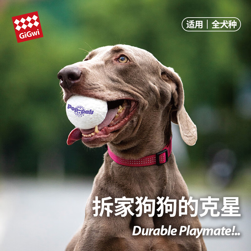 贵为（GiGwi）狗狗玩具耐咬专业爆爆球益智浮水磨牙宠物玩具球边牧玩具比熊玩具 小号【小型犬推荐】