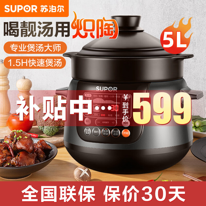 苏泊尔（SUPOR）电炖锅电砂锅电炖盅煲汤锅家用耐高温中华炽陶内胆炖肉锅煲粥炖汤养生煮粥锅熬粥养生锅5L4L大容量 5L 炽陶+精控快炖