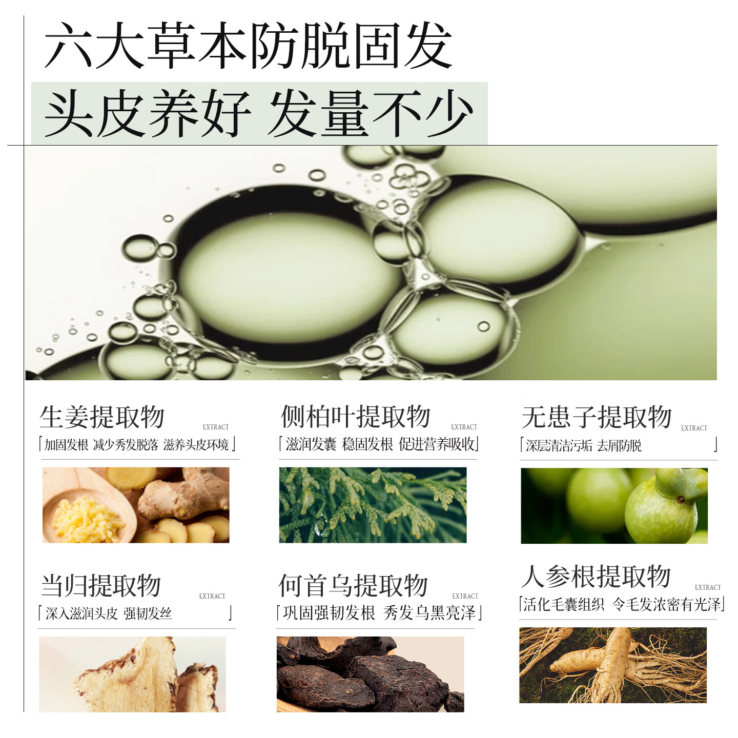 云康防脱固发洗发水蓬松柔顺防断洗发露盈韧学生洗头膏男女 【稳固装】330G*2瓶