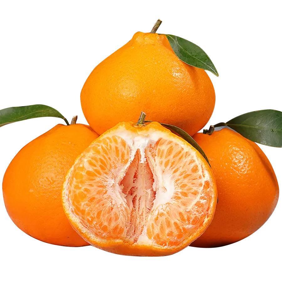 正宗四川春见耙耙柑4.5/8斤精品特大果一整箱时令新鲜水果 净重8斤中果90+mm（10-15个）