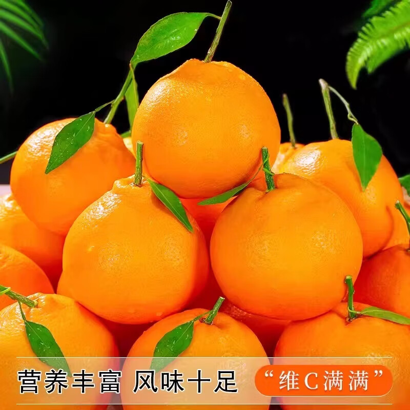 四川春见耙耙柑正宗新鲜水果当季丑粑粑八怪桔不橘子知火整箱包邮 大果 80-90mm 9斤(带箱)