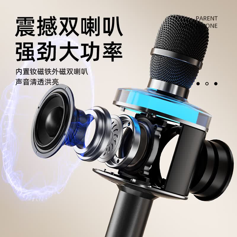 爱国者(aigo)K162话筒音响一体麦克风家用K歌无线蓝牙音箱声卡KTV唱歌麦 K162K歌麦-锖色【智能美声版】送收纳包
