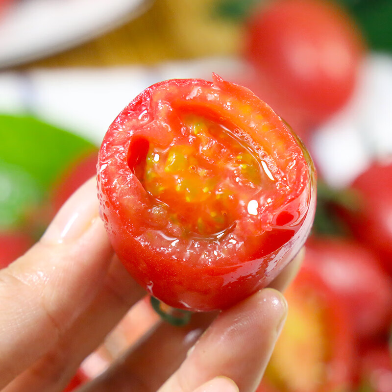 牛爱田圣女果小番茄新鲜采摘源产地发货 圣女果4.5斤装单果8g+