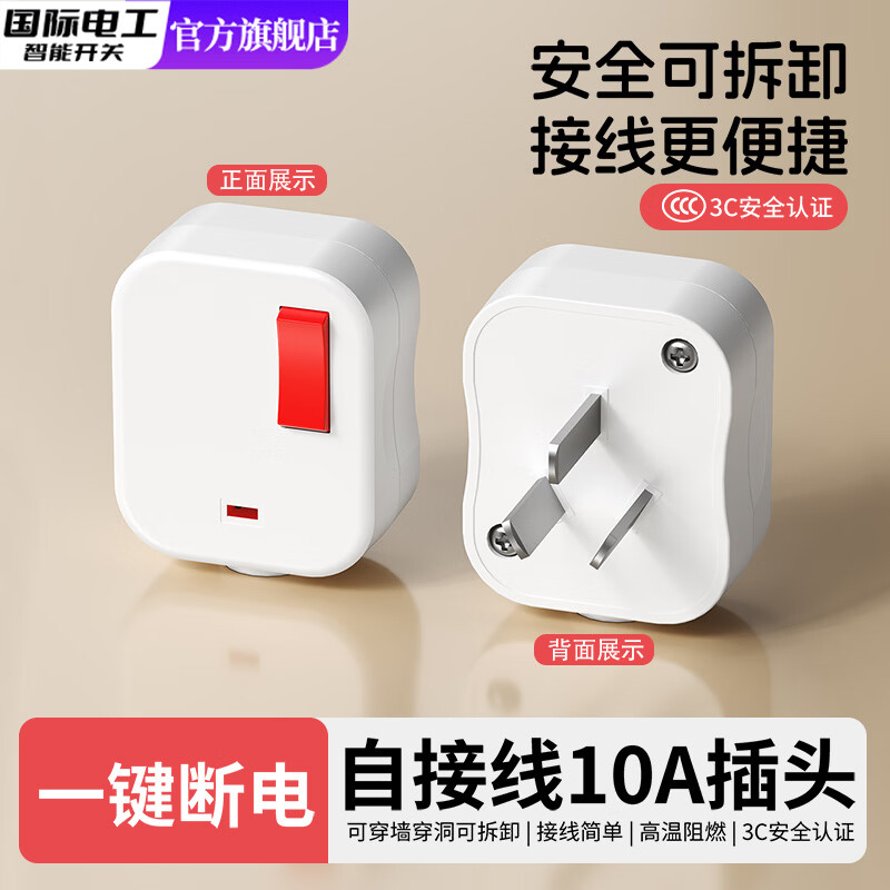 国际电工（FDD）插头电源插头插座无线自行接线三脚插头带开关可拆卸10A三脚插头 白色-带开关三脚插头10A(一只装)