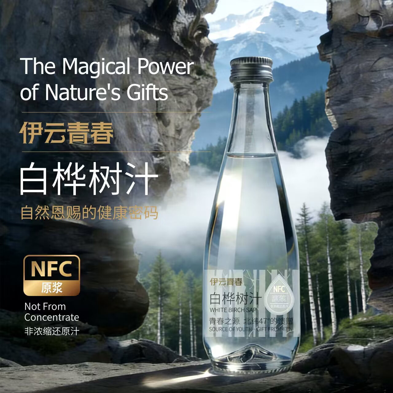 【地标甄选】伊云青春小兴安岭白桦树汁NFC100%原汁330ml*6瓶 白桦树汁330ml*24瓶
