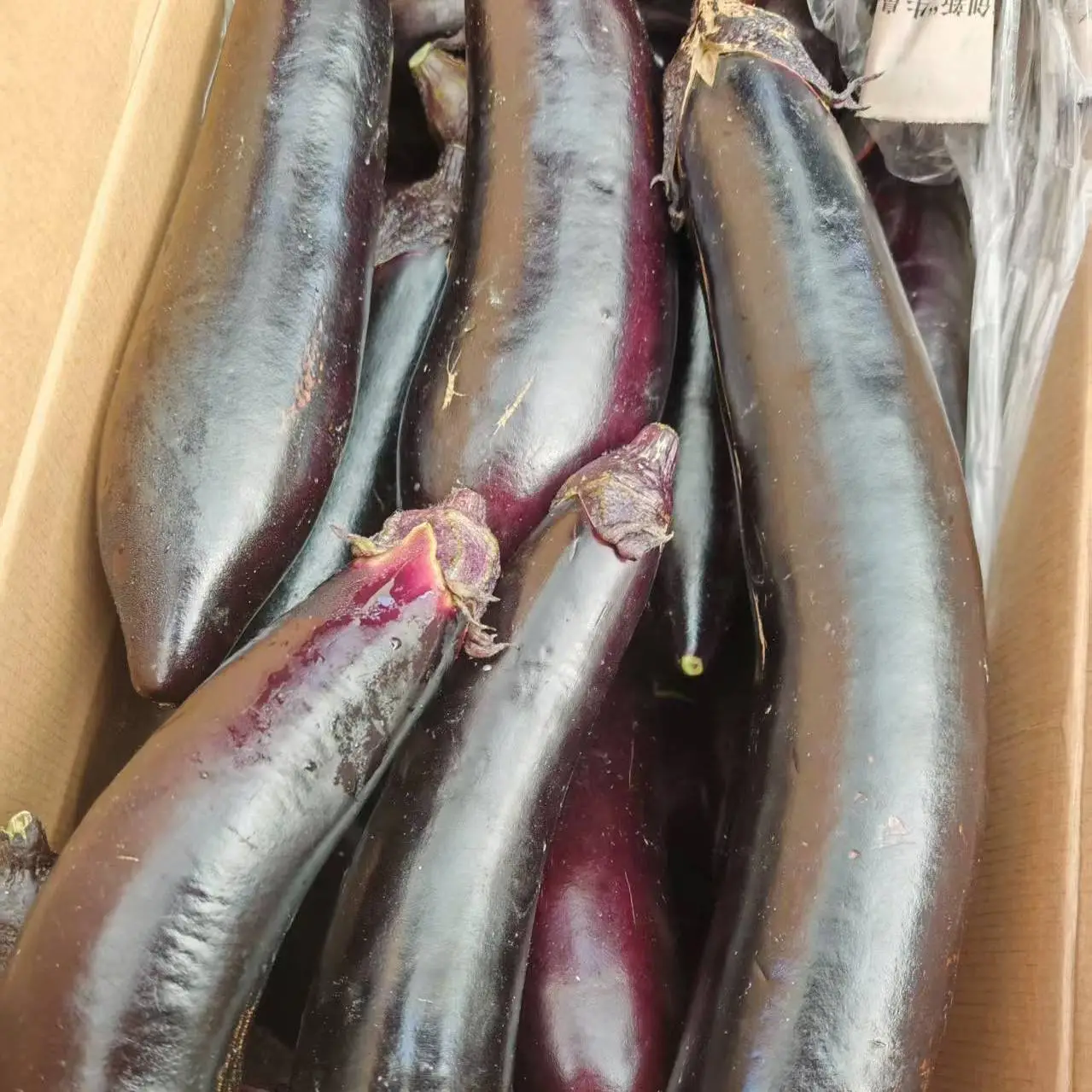 优选老式茄子紫裤紫库新鲜农家蔬菜自种现摘现发可生吃烧烤茄糯茄 带箱9-9.01斤