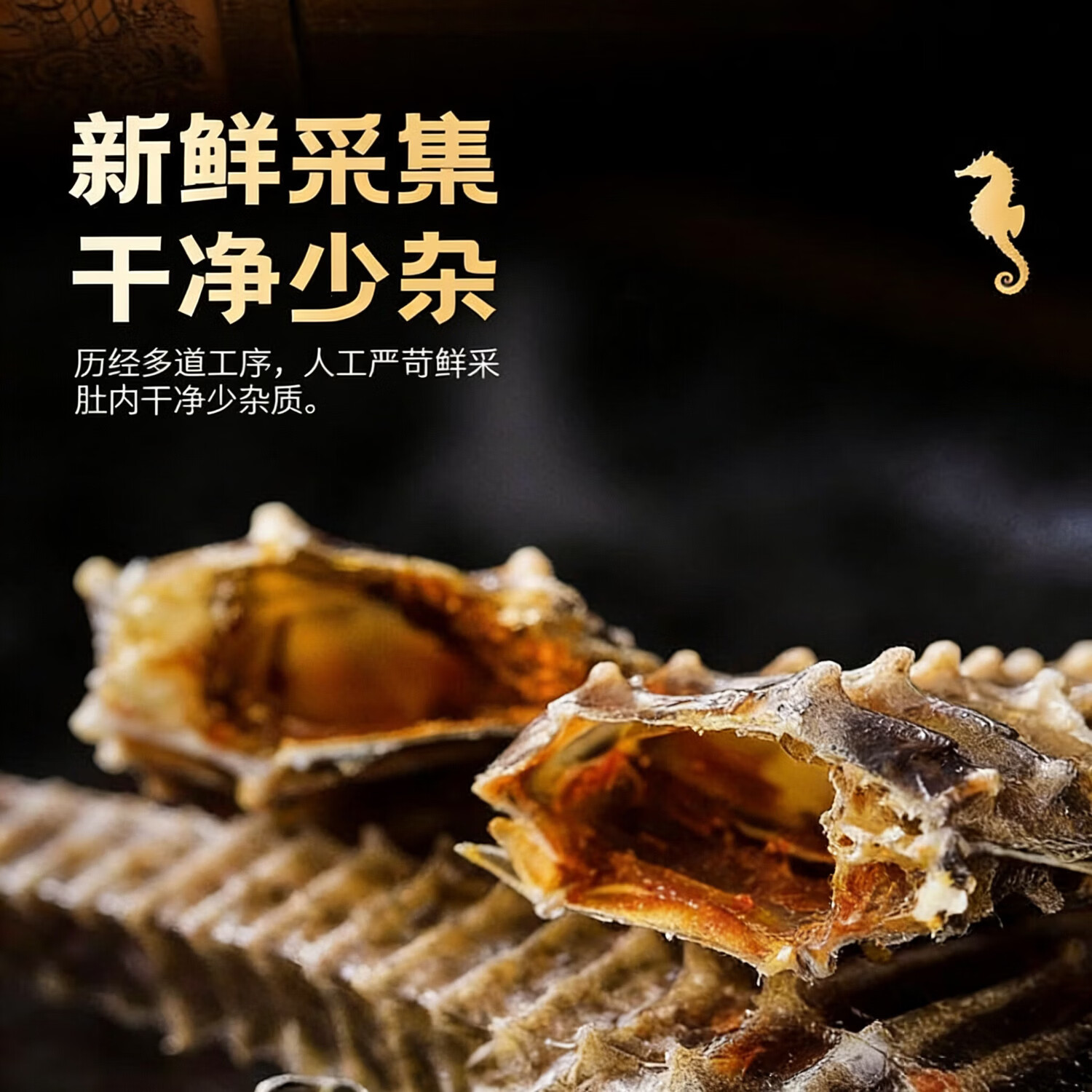 EcoSenlay新鲜晾晒海马干50条包邮中药材泡酒料煲汤男性滋补增高干货