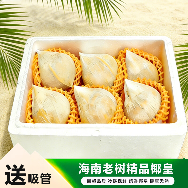 海南直发牛奶椰皇小奶椰 新鲜现摘椰香浓郁 孕妇可吃汁水丰美 普通家庭装【6个/中通】单果450g+