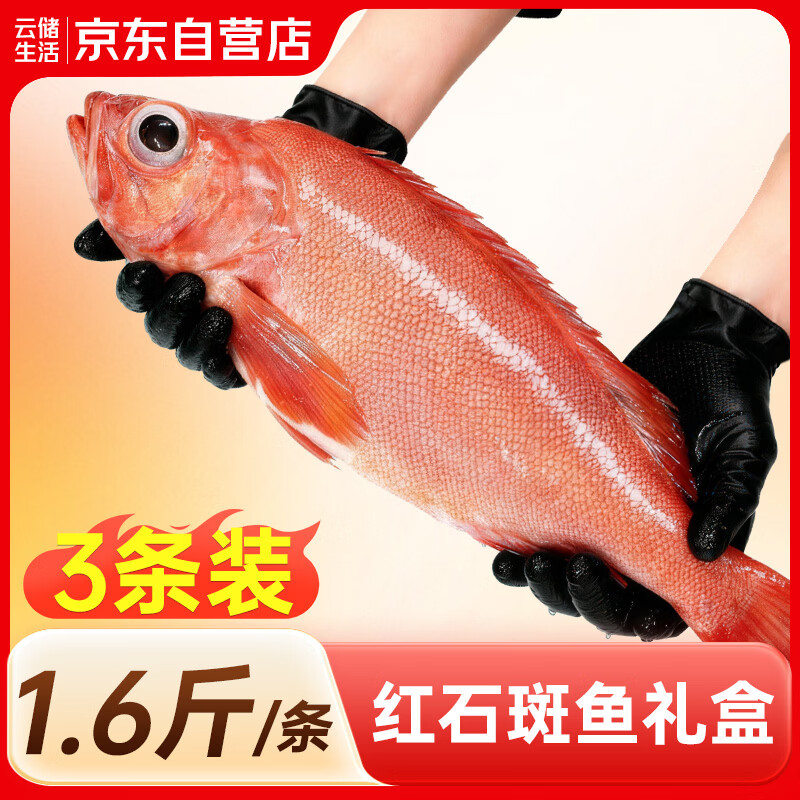 云储生活红石斑鱼礼盒鲜活冷冻大眼鱼整条富贵鱼净重4