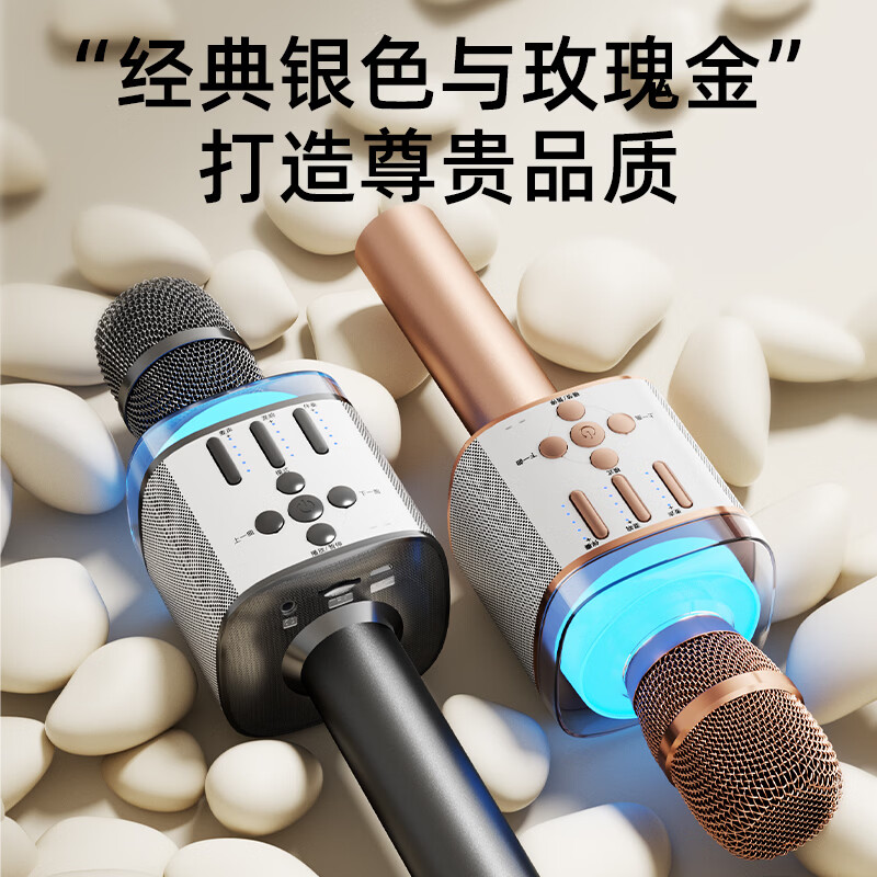 爱国者(aigo)K162话筒音响一体麦克风家用K歌无线蓝牙音箱声卡KTV唱歌麦 K162K歌麦-锖色【智能美声版】送收纳包