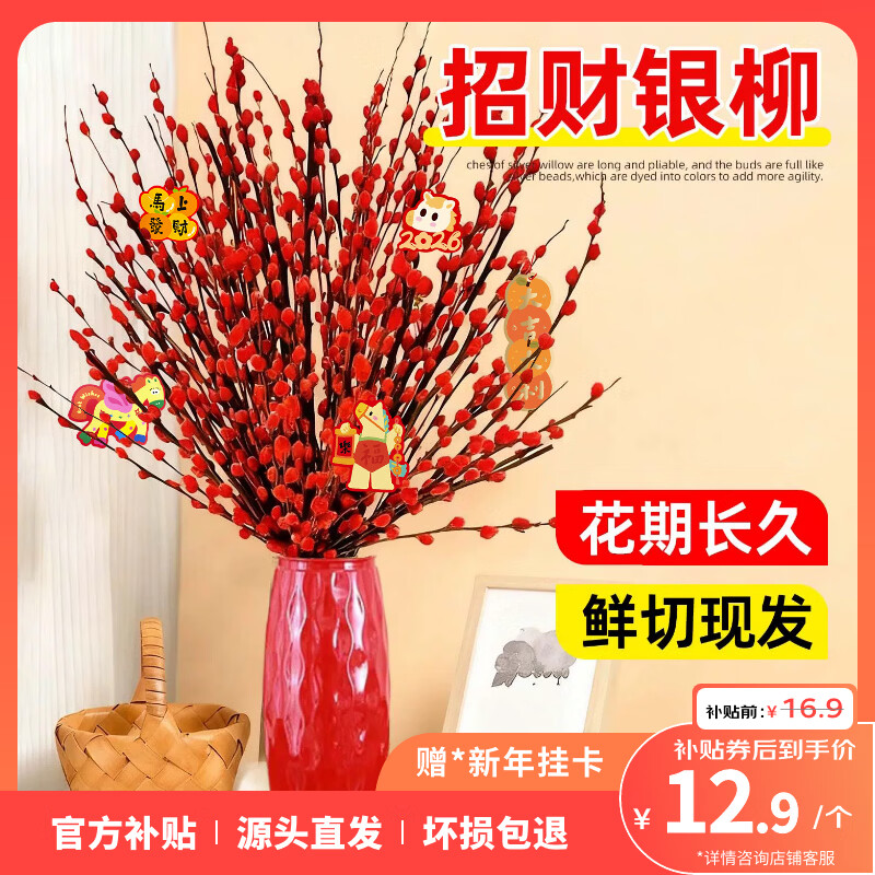 银柳真花红色年宵花卉摆件新年摆件春节摆件氛围感好物 银柳45公分20枝+新春花瓶+新年挂卡（推荐热销）