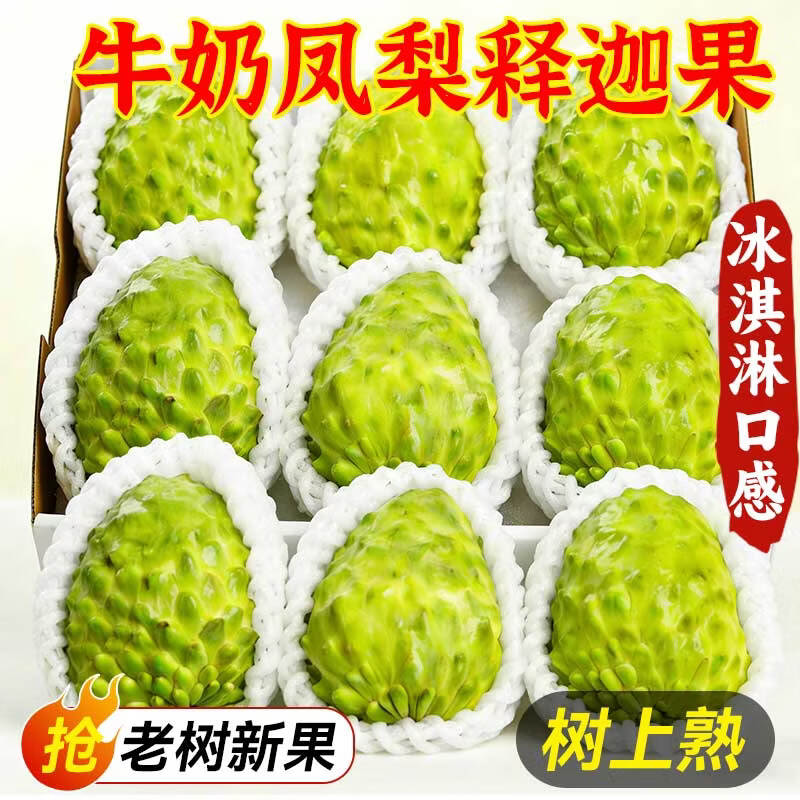 京愿云南牛奶释迦果新鲜凤梨释迦果番荔枝佛头果孕妇时令水果生鲜 优选果3斤装丨单果150g+ 净重2.5斤