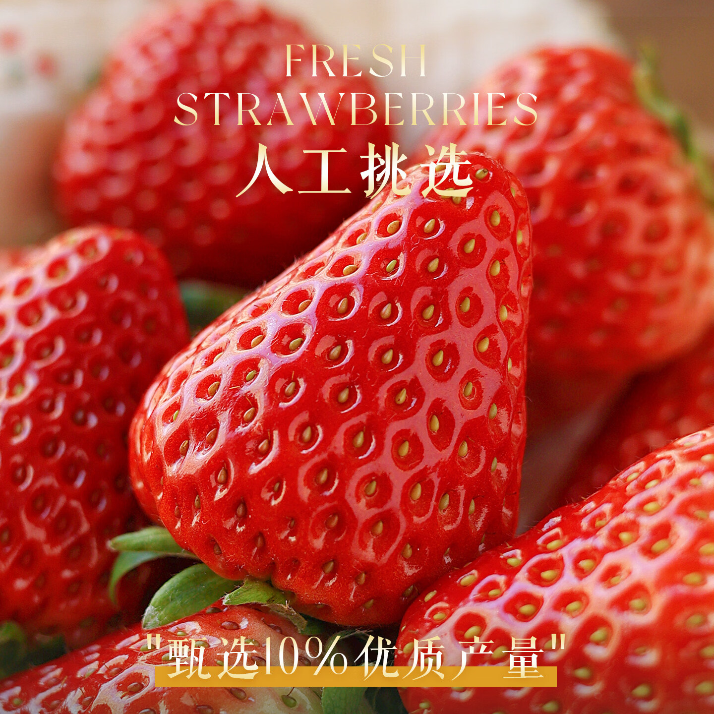 鲜宝道大凉山牛奶草莓礼盒【JD-多地次日达】 大凉山草莓3斤净重2.5斤，单果12g