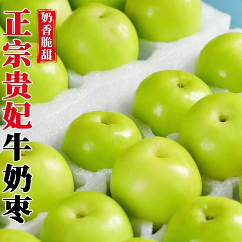 陆贞新货福建牛奶枣贵妃蜜枣青枣脆甜多汁新鲜应季水果整箱批发 老树贵妃枣更脆更甜 脆甜贵妃枣净重4点5斤单果65克起约25-5个