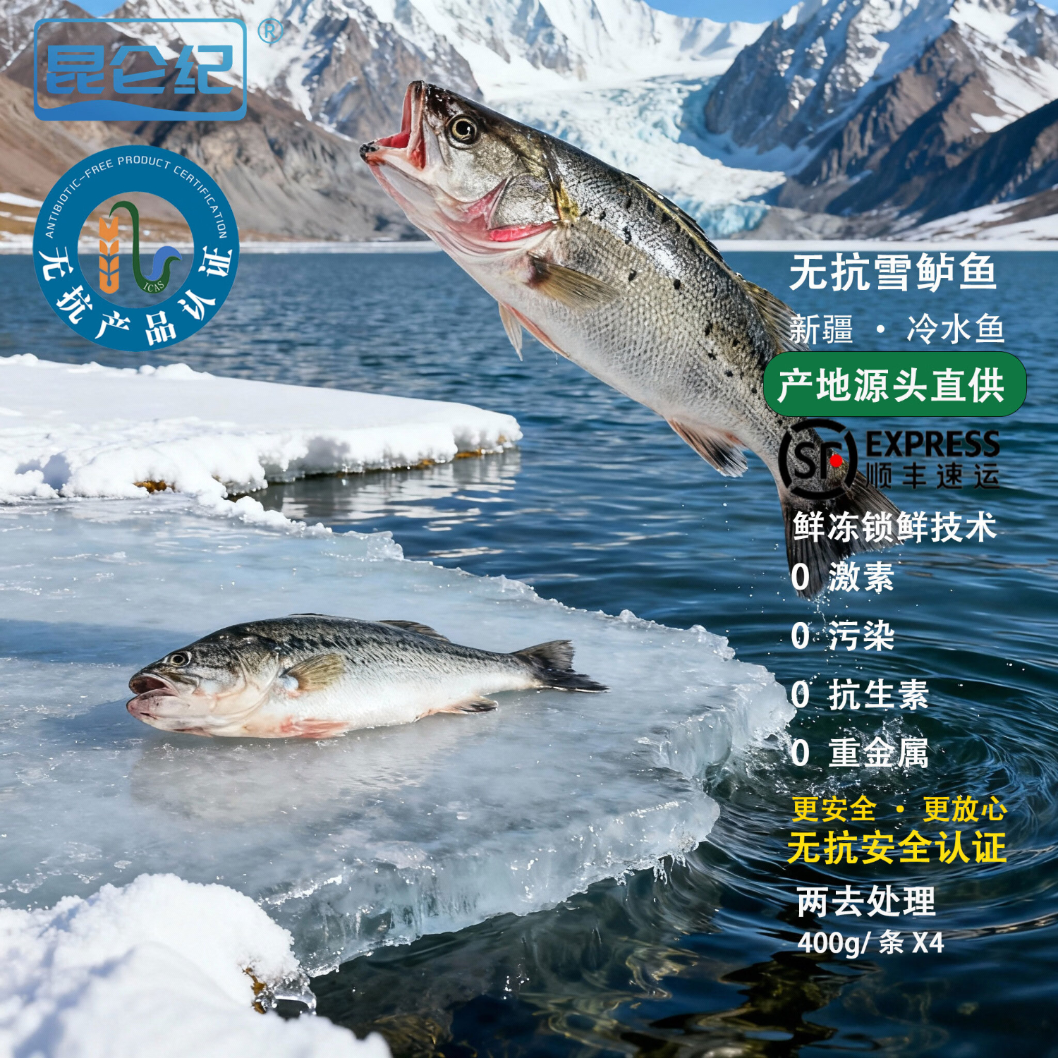 昆仑纪新疆天山无抗雪鲈鱼淡水鲈鱼整条装新疆鱼新鲜冷冻冷水鱼新年送礼 天山雪鲈鱼400g/条×4条（两去处理去鳞去内脏）