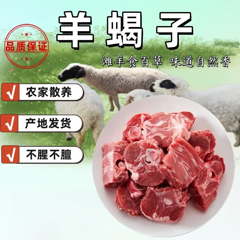LZJV宁夏滩羊现宰整只白条散养乳羔羊烤全羊原产地直发顺丰包邮到家 滩羊 羊小腿6斤