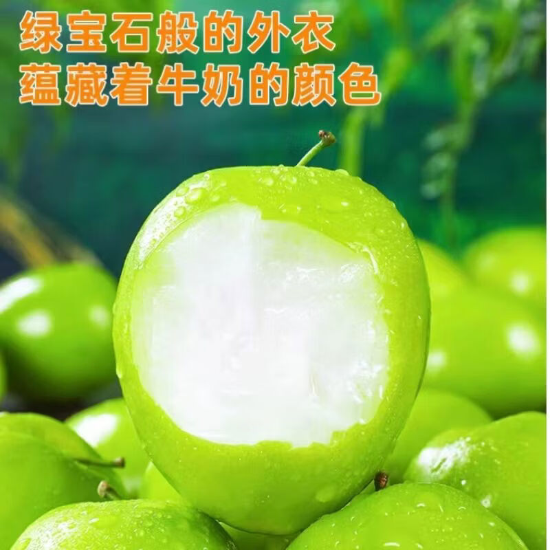 陆贞新货福建牛奶枣贵妃蜜枣青枣脆甜多汁新鲜应季水果整箱批发 老树贵妃枣更脆更甜 脆甜贵妃枣净重4点5斤单果65克起约25-5个