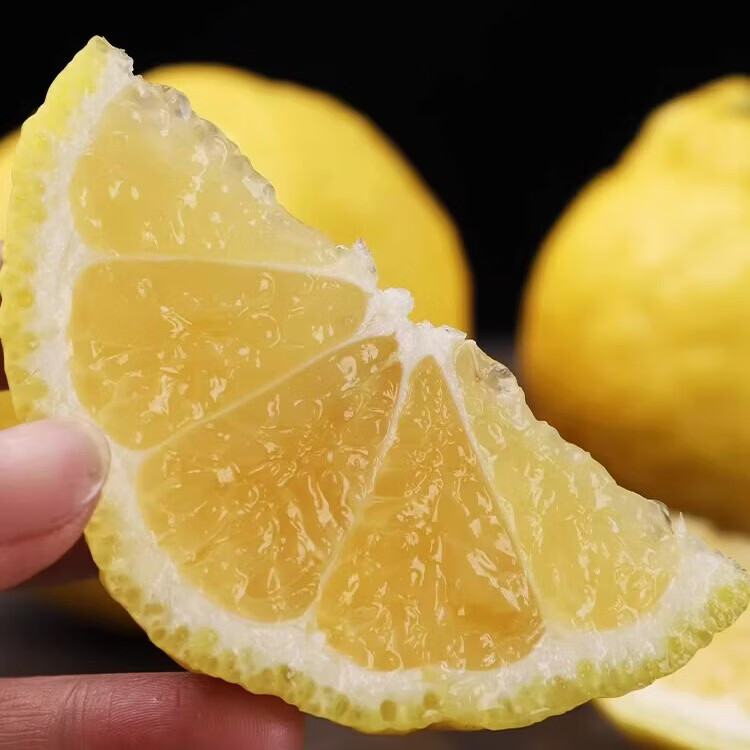 品鲜将黄金贡柚湖北怀化柑橘柚子春香柚黄金柑时令新鲜水果年货礼盒 贡柚礼盒 9斤 果径70mm