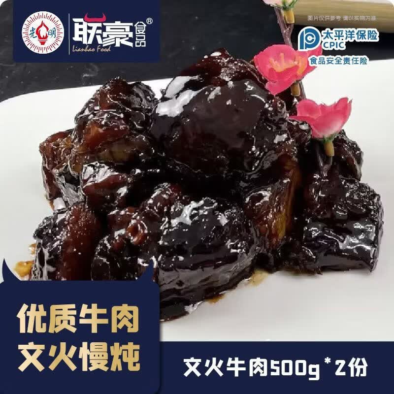 联豪食品文火牛肉 500g*2包 牛肉私房菜半成品家庭食材加热即食 文火牛肉500g*2包(连汤带肉)