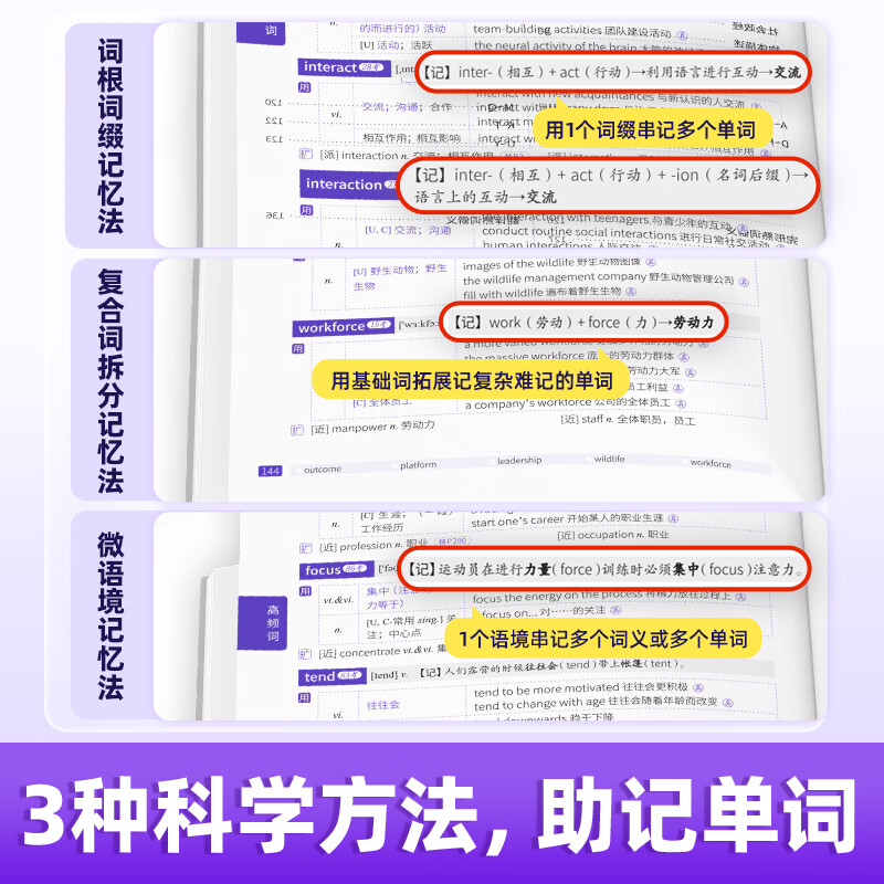【官方旗舰店】备考2026.6四级词汇闪过大学英语四六级词汇书四级真题闪过巨微历年真题试卷逐句精解真题解析英语四级备考资料 四级词汇+巨微真题2本【基础弱】