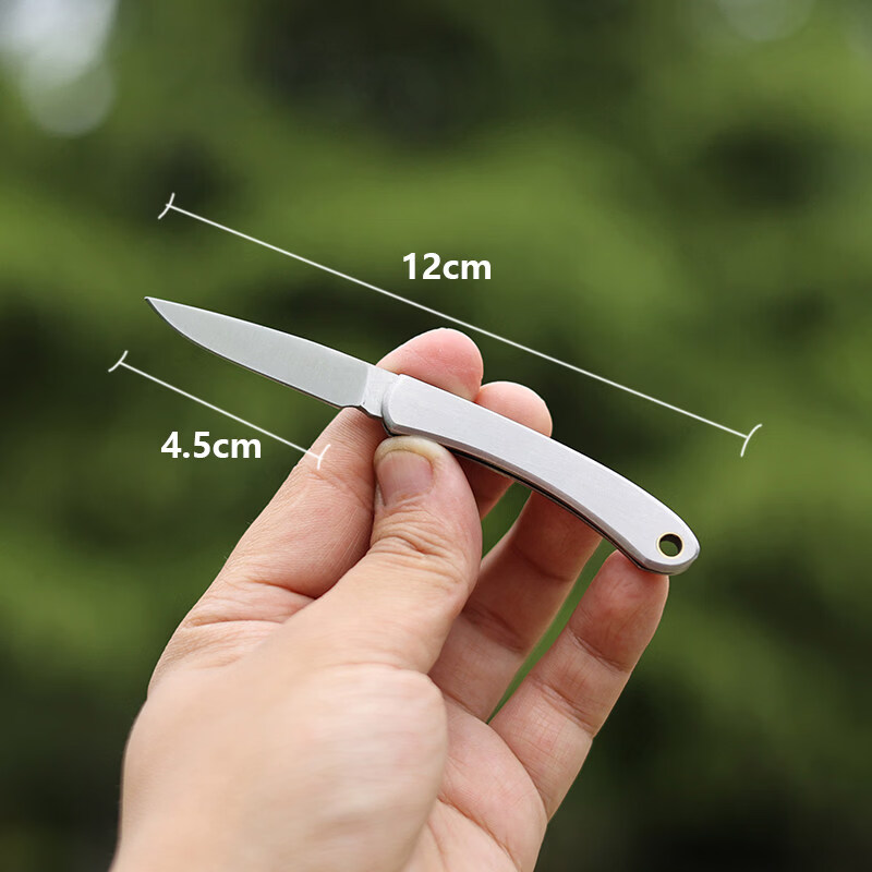 不锈钢折叠水果刀便捷随身旅行钥匙刀迷你小刀瓜 中号  刃长4.5cm (飞机高铁 可携带) 60°以下 x 3cm x 5cm
