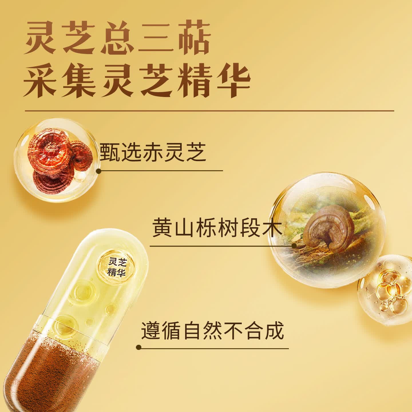 中科破壁灵芝孢子粉黄精胶囊增强免疫力双精华灵芝多糖保健品礼盒送礼 60粒单瓶初体验