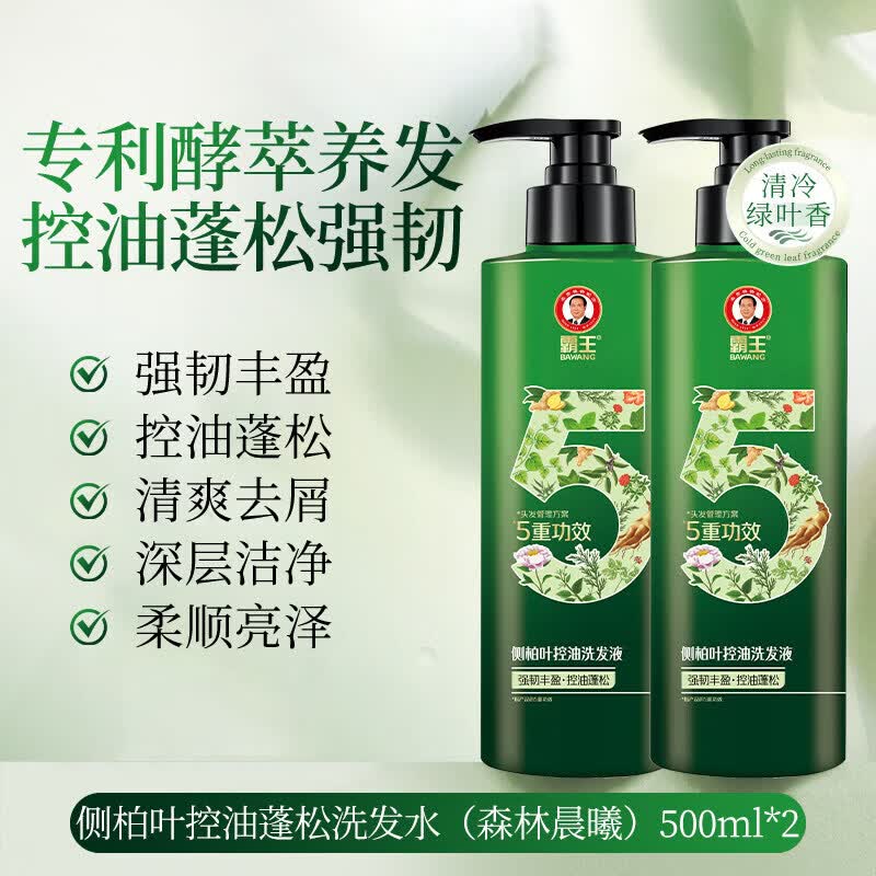 霸王强韧丰盈洗发水侧柏叶生姜洗发露防断发控油蓬松去屑洗发水 侧柏叶洗发水*2瓶 500ml