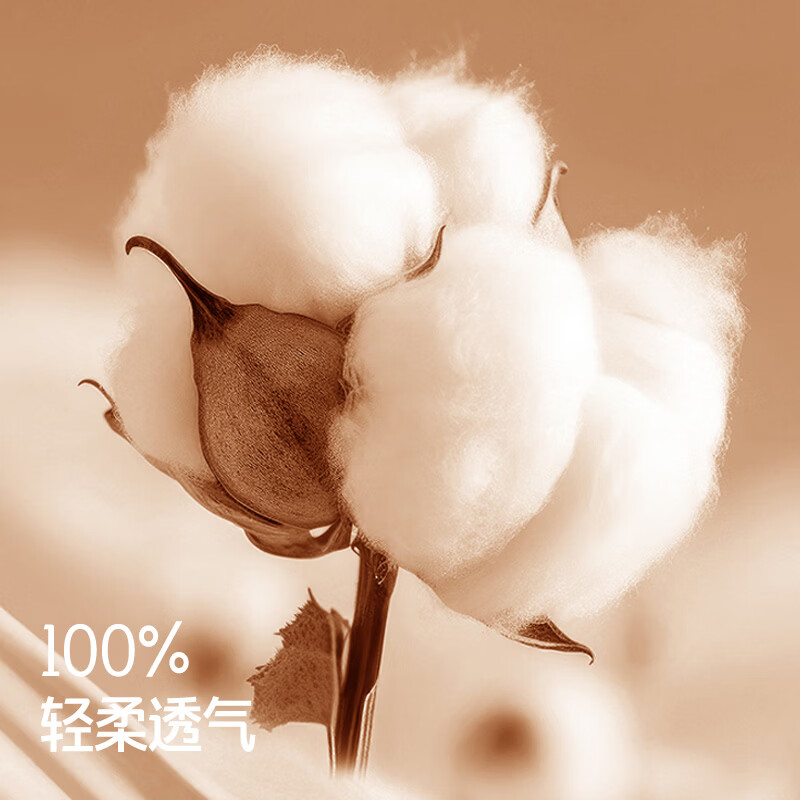 匹鲁枕套A类100%全棉亲肤纯色四季家用可机洗枕头套 微微紫 一对 48cm*74cm