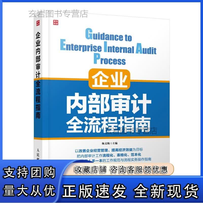 n企业内部审计全流程指南