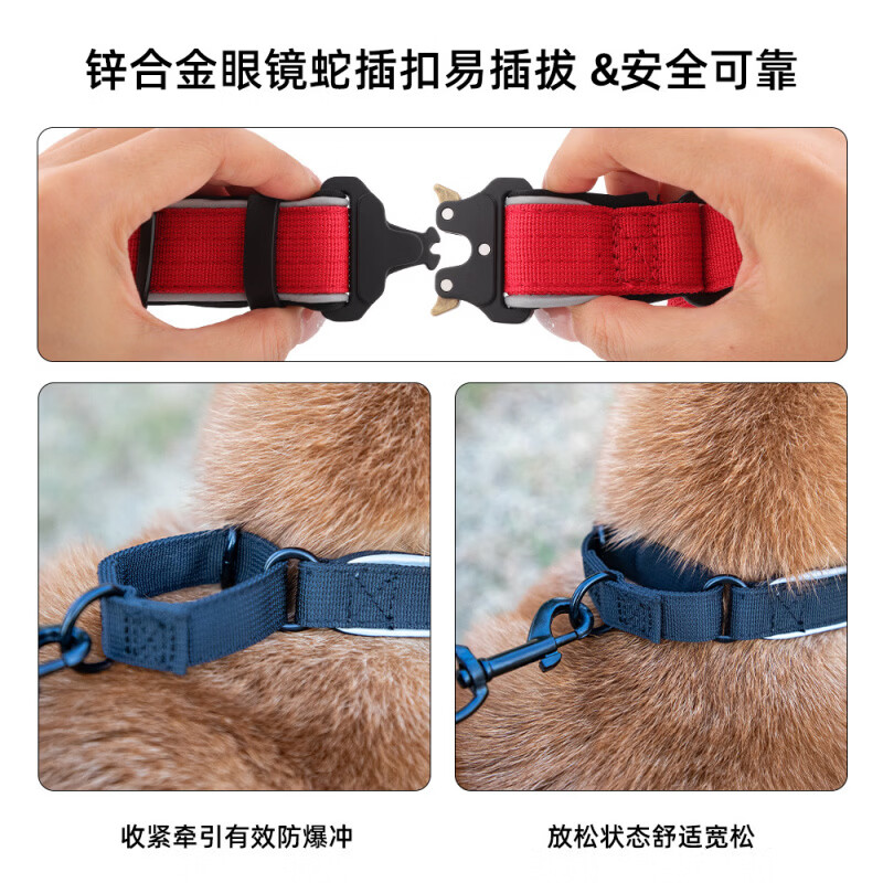 温诗欧狗狗项圈中大型犬金毛边牧户外战术项圈防爆冲猛犬牵引绳脖圈 浅蓝 X