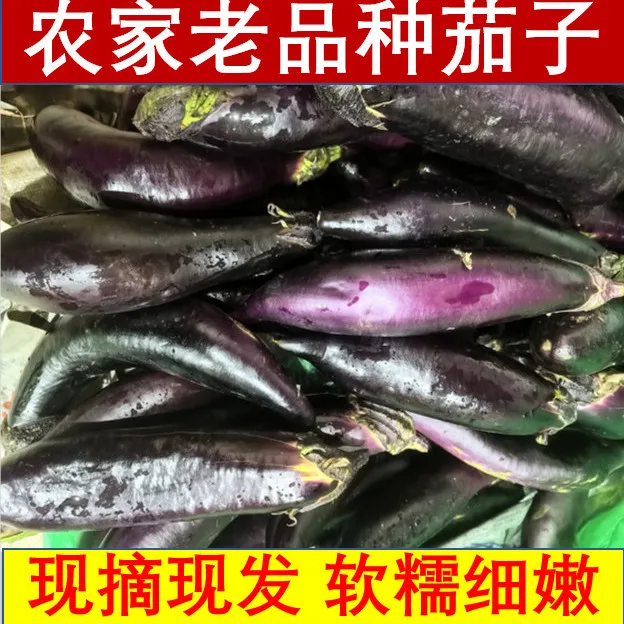 优选老式茄子紫裤紫库新鲜农家蔬菜自种现摘现发可生吃烧烤茄糯茄 带箱9-9.01斤 京东折扣/优惠券