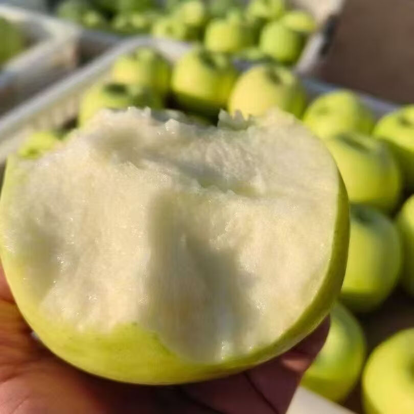 【顺丰发货】云南瑞雪苹果3斤小果(礼盒装) 纯甜无酸 松脆爽口 3斤小果礼盒装