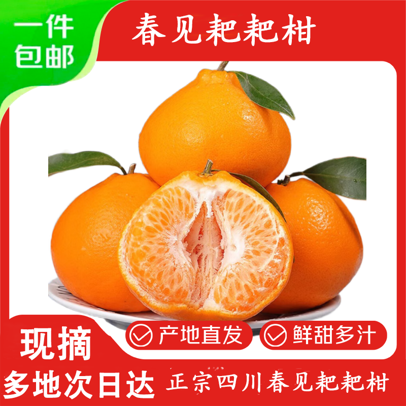 菲农正宗四川春见耙耙柑10斤新鲜水果当季整箱丑粑粑橘子柑桔源头直发 5斤【80%选择-划算】净4.8斤 春见耙耙柑中大果