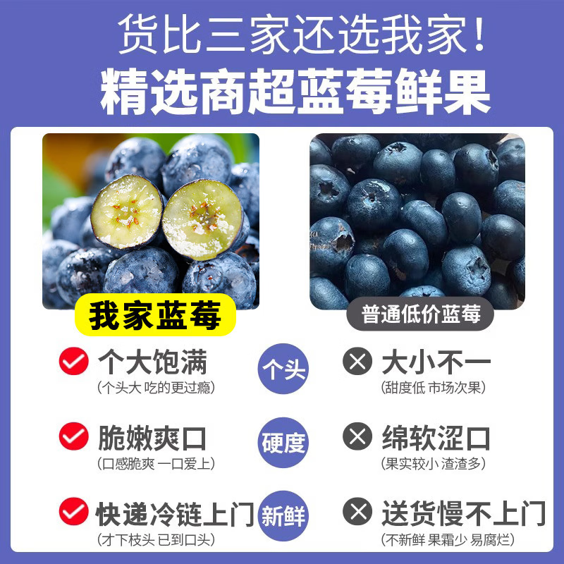 颜曼箐云南花香蓝莓鲜果新鲜水果【多地次日达】高山甜蓝莓春节送礼 6盒装-更划算【100-125g/盒】 尝鲜果丨单果12-15mm