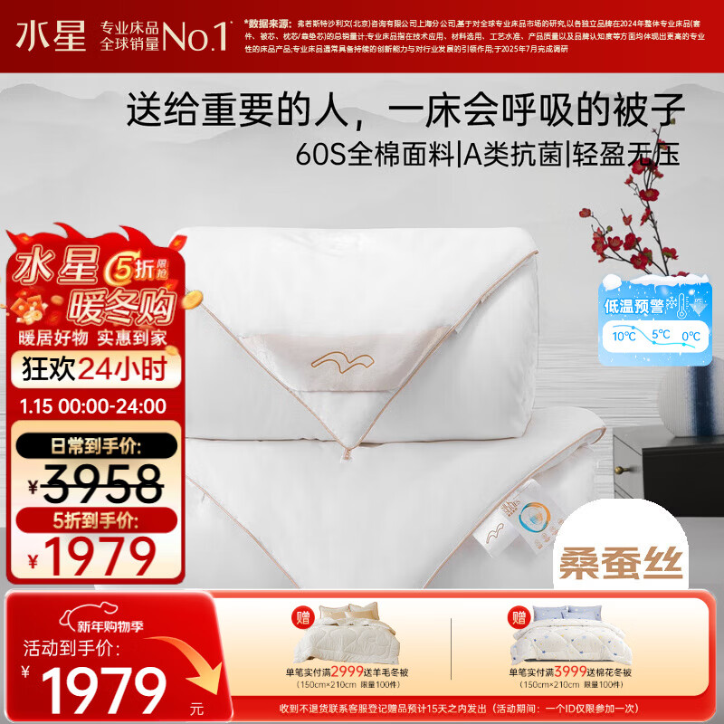 水星家纺蚕丝被100%桑蚕丝冬被子冬季子母被二合一被芯约10.6斤220×240cm