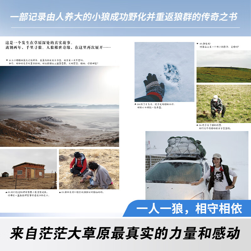 当当童书重返狼群李微漪正版全2册 让我陪你重返狼群+千里寻你重返狼群狼图腾姜戎同名电影原著儿童文学动物小说中小学生课外阅读正版书籍 【全套2册】重返狼群